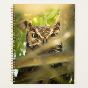 Großer Hornkauz-Wildtier-Natur-Foto-Kunstprint Planer