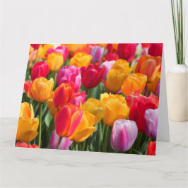 Großer Karten-Frühling am versunkenen Gardens1 Karte