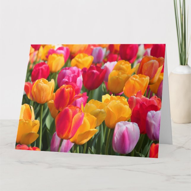 Großer Karten-Frühling am versunkenen Gardens1 Karte (Vorderseite)