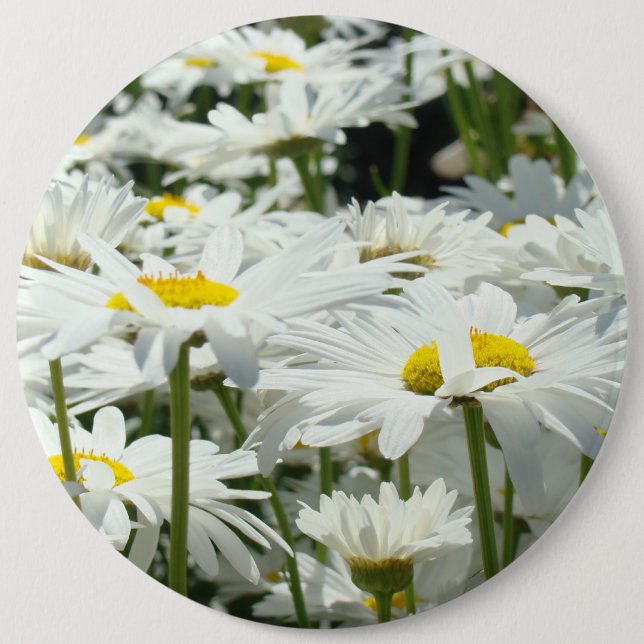 Großer Knopf-glückliche weißes Button (Vorderseite)