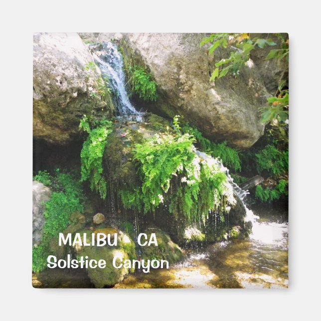 Großer Malibu Magnet! Magnet (Vorne)