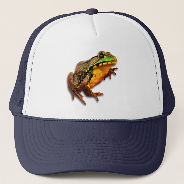 Großer Ochsenfrosch-großer Frosch mit Haltung Truckerkappe (Vorderseite)