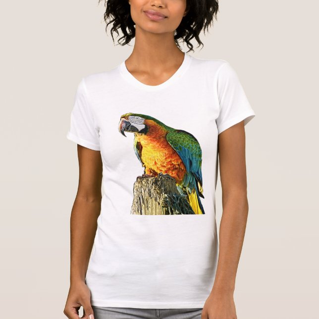 Großer orange und aquamariner Papagei auf einem T-Shirt (Vorderseite)