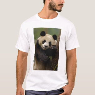 Großer Panda Ailuropoda melanoleuca) Familie T-Shirt