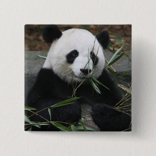 Großer Panda Button
