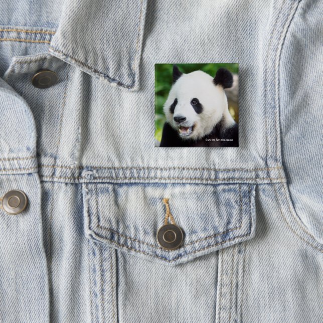 Großer Panda, der Bambus isst Button (Beispiel)