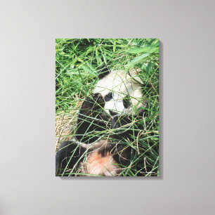 Großer Panda, der im Gras sich versteckt Leinwanddruck
