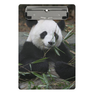 Großer Panda Mini Klemmbrett