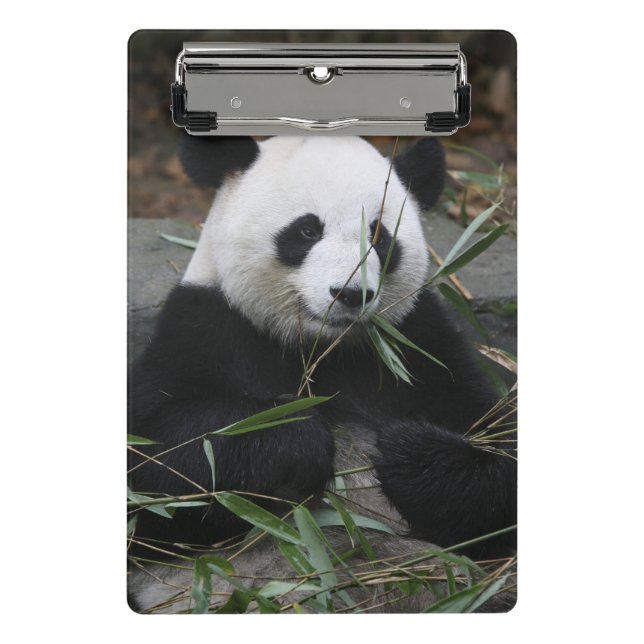 Großer Panda Mini Klemmbrett (Vorderseite)