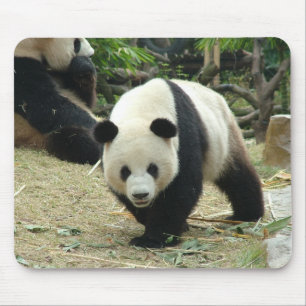 Großer Panda Mousepad