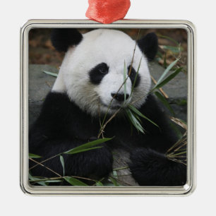 Großer Panda Silbernes Ornament