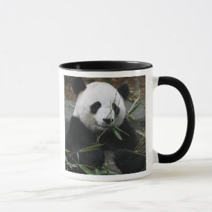 Großer Panda Tasse