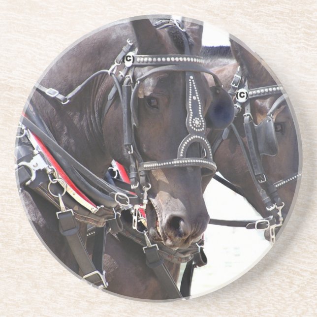 Großer PferdeUntersetzer Getränkeuntersetzer (Vorne)
