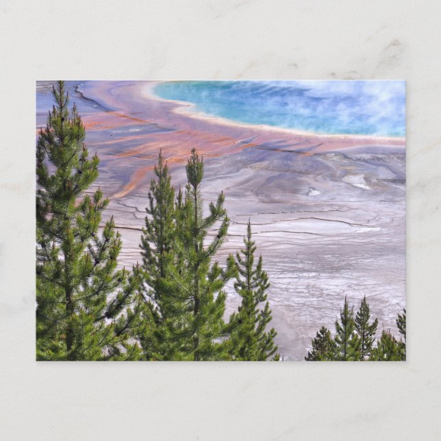 Großer Prismatischer Blick Postkarte (Vorderseite)