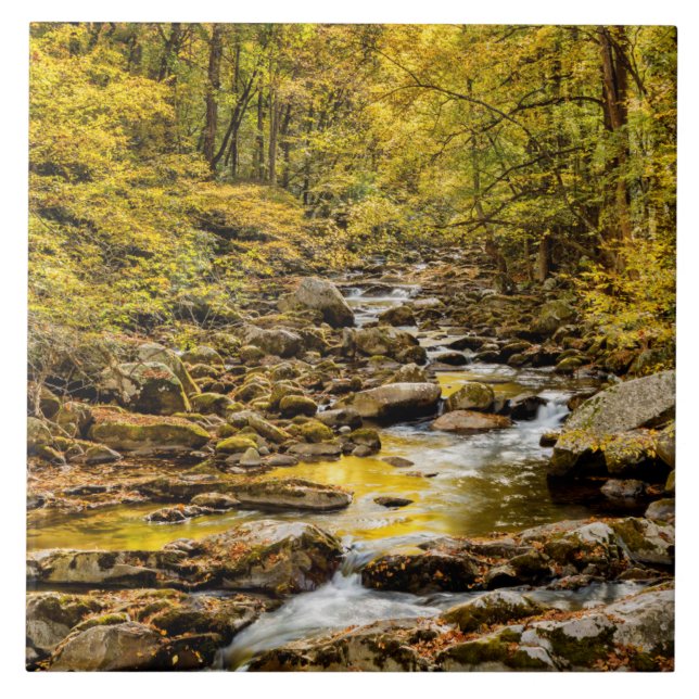 Grosser, rauchiger Nationalpark. Big Creek Fliese (Vorderseite)