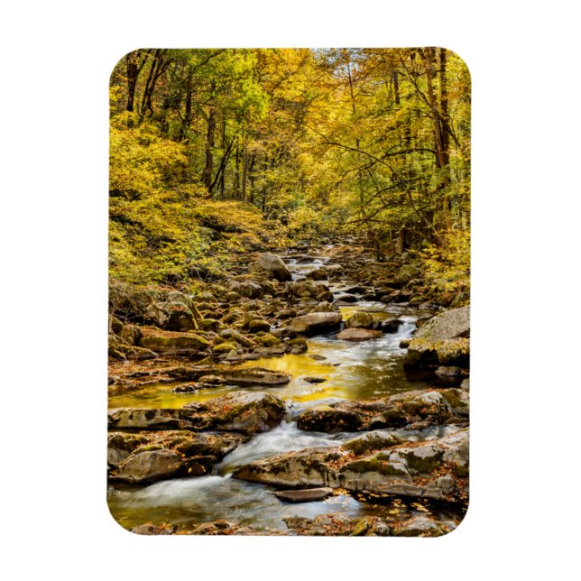 Grosser, rauchiger Nationalpark. Big Creek Magnet (Vertikal)