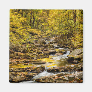 Grosser, rauchiger Nationalpark. Big Creek Magnet