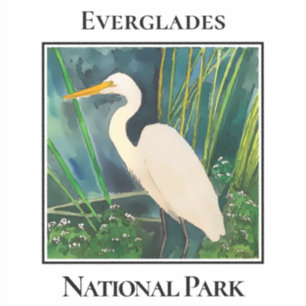 Großer Reiher, Everglades-Nationalpark Aufkleber