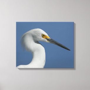Großer Reiher-Leinwand-Druck Leinwanddruck