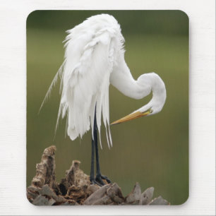 Großer Reiher Mousepad