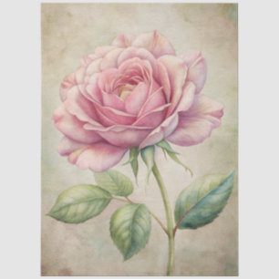 Grosser Rosa Rose Ephemera Decoupage Seidenpapier