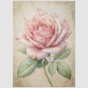 Grosser Rosa Rose Ephemera Decoupage Seidenpapier