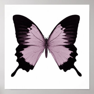Großer rosa und schwarzer Schmetterling - Personal Poster