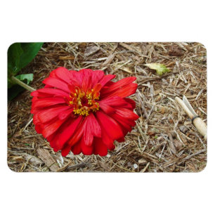 Großer roter Blumen-Magnet Magnet