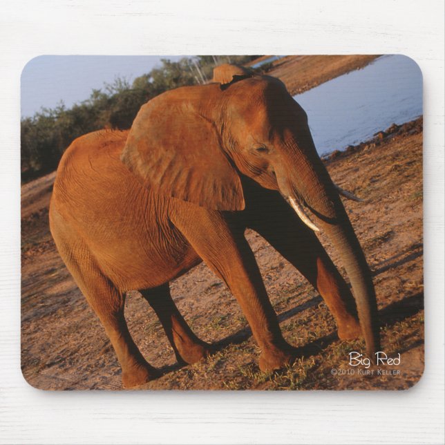 Großer roter Elefant Mousepad (Vorne)