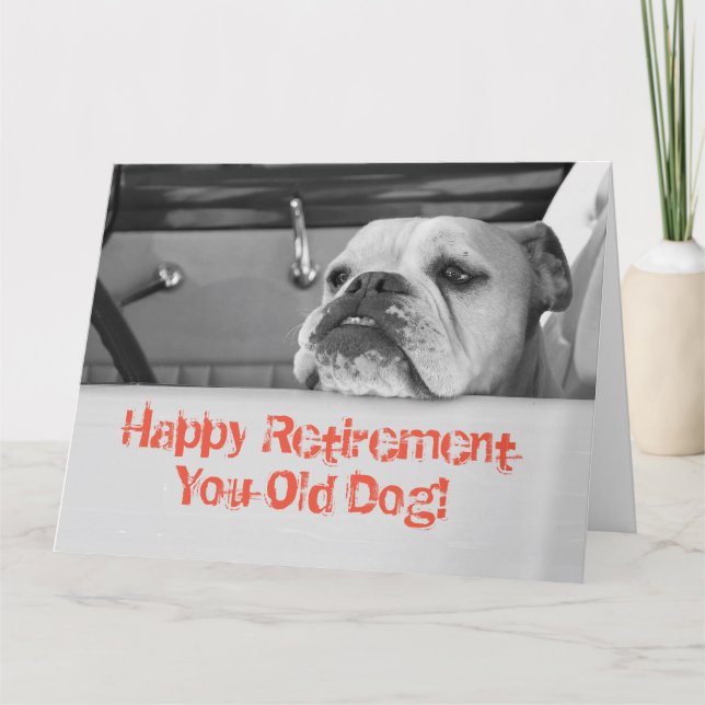 Großer Ruhestand Grußkarte Australischer Bulldog Karte (Vorderseite)