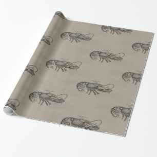 Großer Sandy-Hummer Geschenkpapier