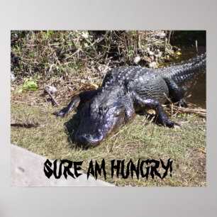 Großer schwarzer Alligator Poster
