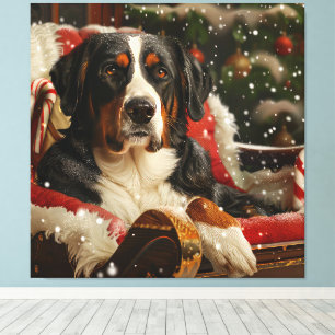 Großer Schweizer Sennenhund Weihnachtsfestlich Leinwanddruck