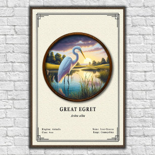 Großer Silberreiher Zoologie-Serie Poster