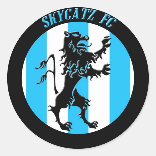 Großer Skycatz-Sticker Runder Aufkleber (Vorderseite)