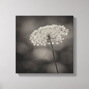 Großer Spitze-Blumen-weicher HintergrundSepia der Leinwanddruck