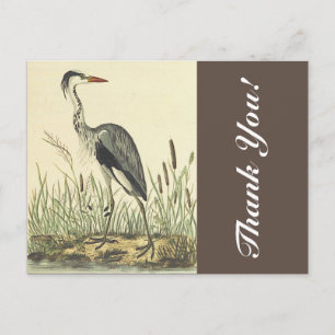Großer stehender Vogel in der Nähe von Rohrkolben, Postkarte