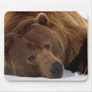 Großer Teddybär Mousepad