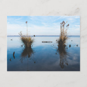 großer trostloser Sumpf Postkarte