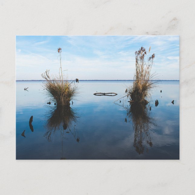 großer trostloser Sumpf Postkarte (Vorderseite)