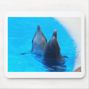 Großer Tümmler Fisch Meer Ozean Unterwasser Mousepad