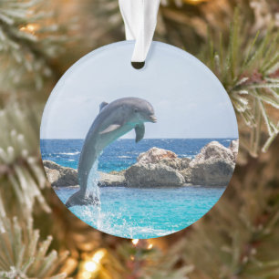 Großer Tümmler Ornament