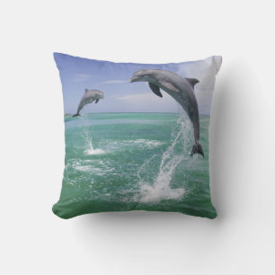 Großer Tümmler Tursiops truncatus Kissen