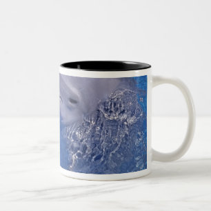 Großer Tümmler, Tursiops Truncatus Zweifarbige Tasse
