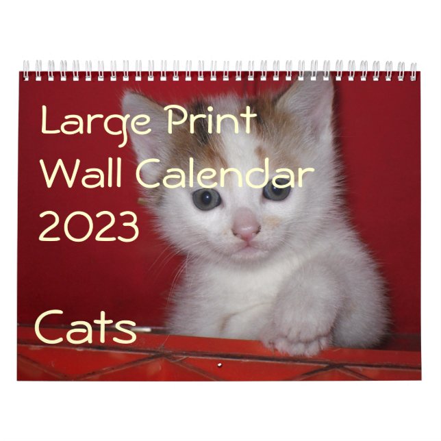Großer Wandkalender 2023 - Katzen (Titelbild)