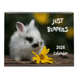 Großer Wandkalender mit Kaninchen