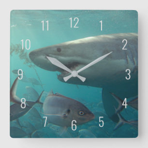 Großer Weißer Hai Nah unter Wasser Australien Quadratische Wanduhr