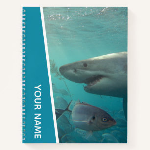 Großer Weißer Hai und Fisch Australien Notizbuch