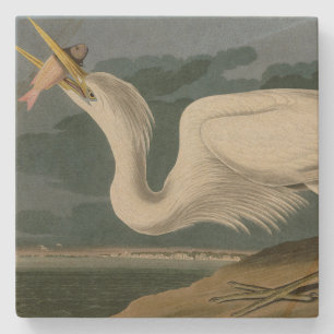Großer Weißer Heron aus Audubons Vögeln Amerikas Steinuntersetzer