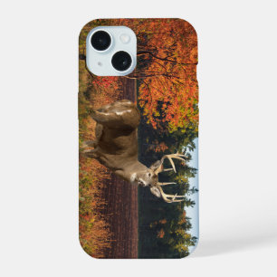 Großer Weißwedelhirsch schlägt eine Pose iPhone 15 Hülle